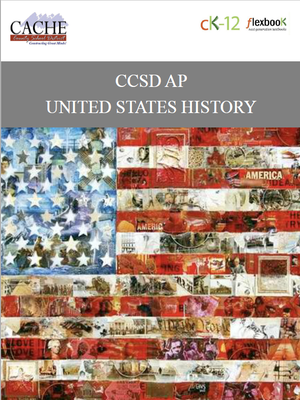 cover image of CCSD AP United States History
